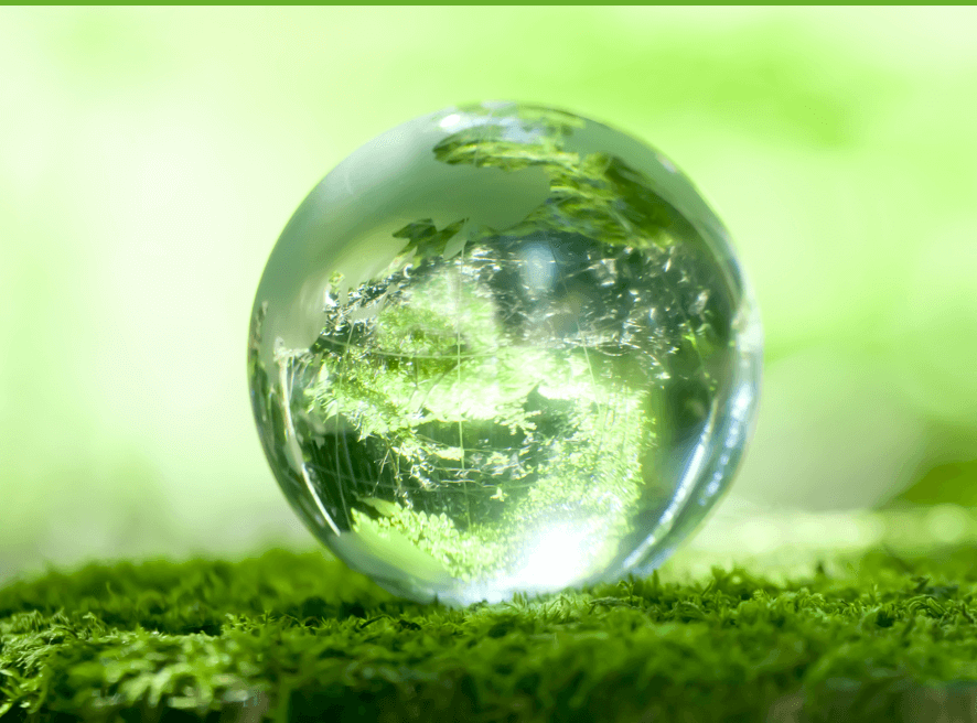 Transparency As Standard